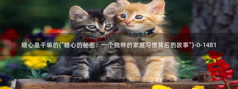 糖心vlog最新：糖心是干嘛的(\