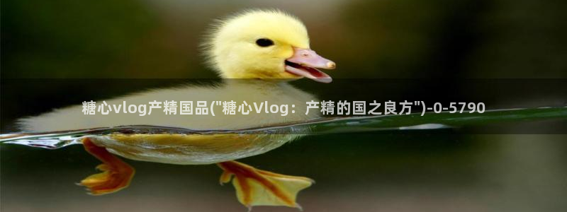 糖心vlog下载入口：糖心vlog产精国品(\