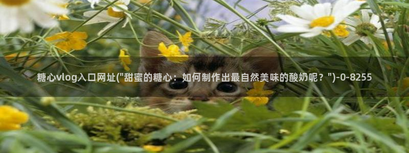 糖心vlog怎么读