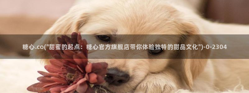 vlog糖心：糖心.co(\