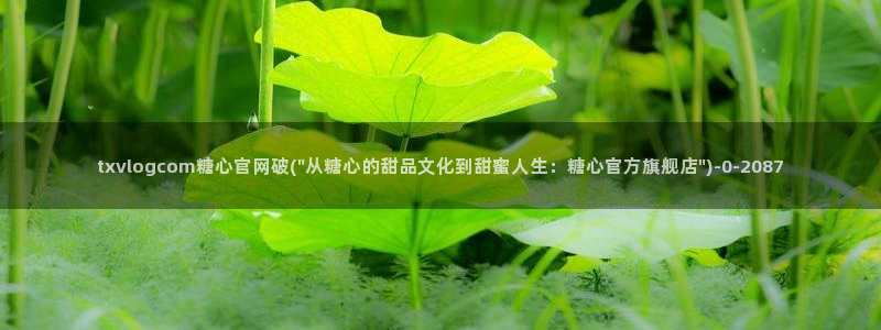 糖心vlog up主